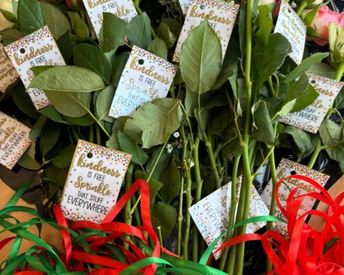 Flowers for World Kindness Day