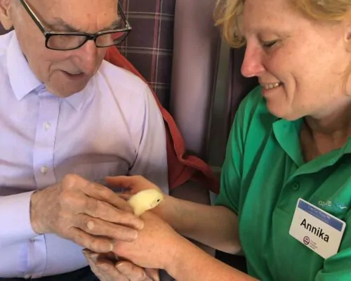 Resident holding newborn chick