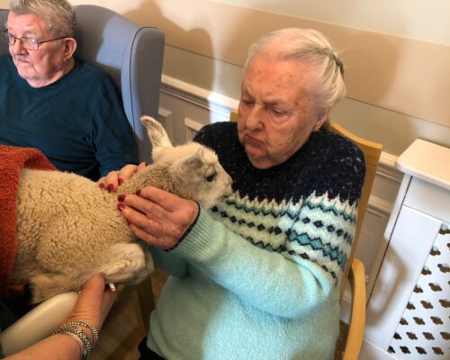 Resident holding a lamb