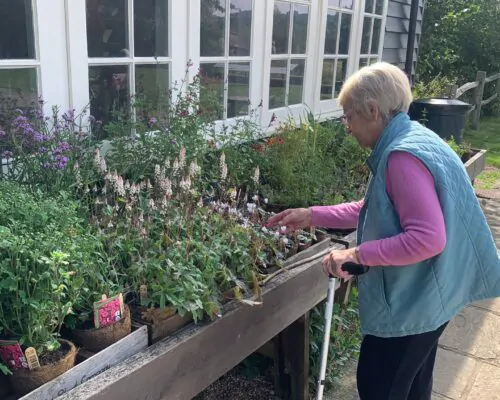 Resident visiting a local garden centre
