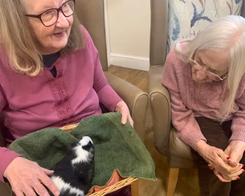 Residents holding pet guinea pigs