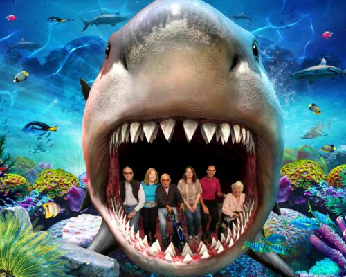 Residents at Brighton Sealife Centre